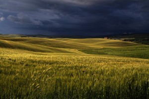 Tuscan Storm
